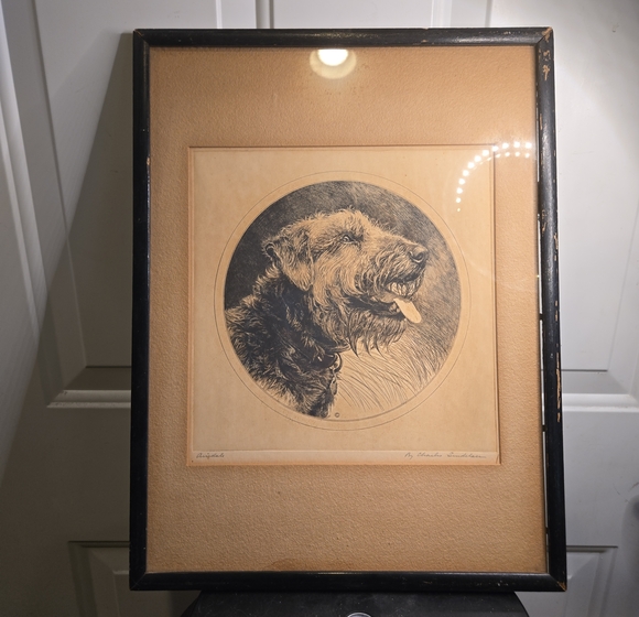 Other - Charles J Sindelar (Sindelaer) Framed Airdale Dog Portrait Pencil Signed Print